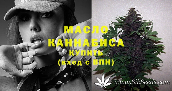гашик Балахна