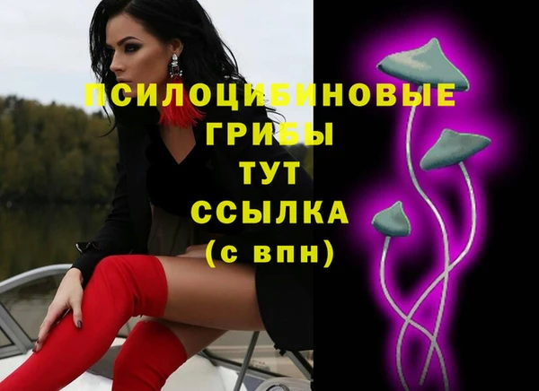 гашик Балахна