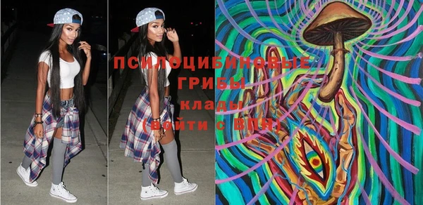 гашик Балахна