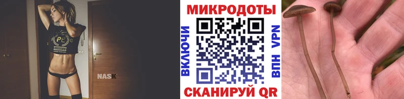 Псилоцибиновые грибы ЛСД  Белая Холуница 